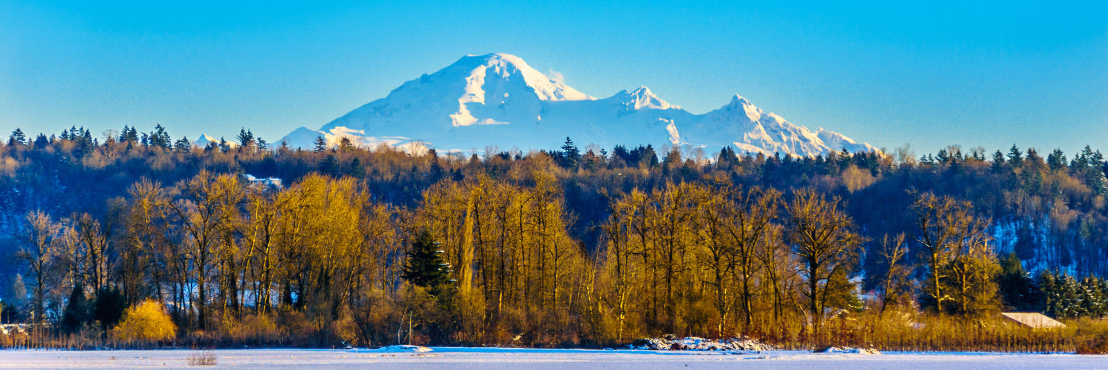 Fraser Valley BC Real Estate Homes for Sale in Fraser Valley BC