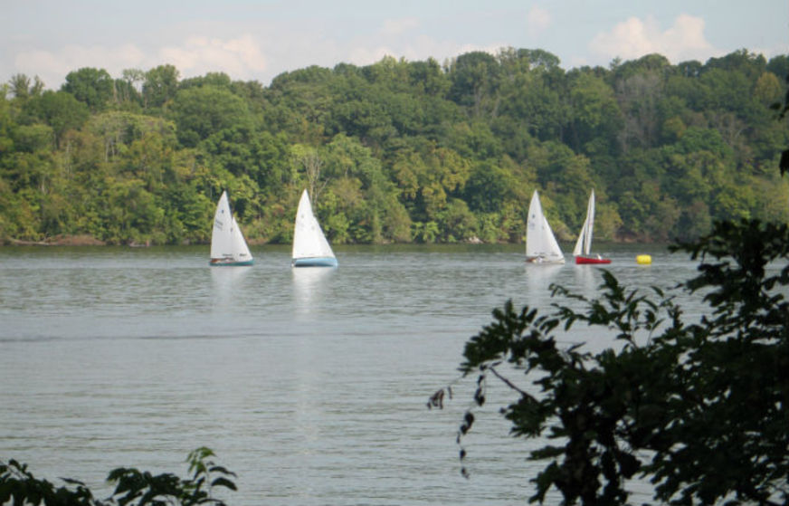 Knoxville TN Real Estate Homes for Sale in Knoxville TN