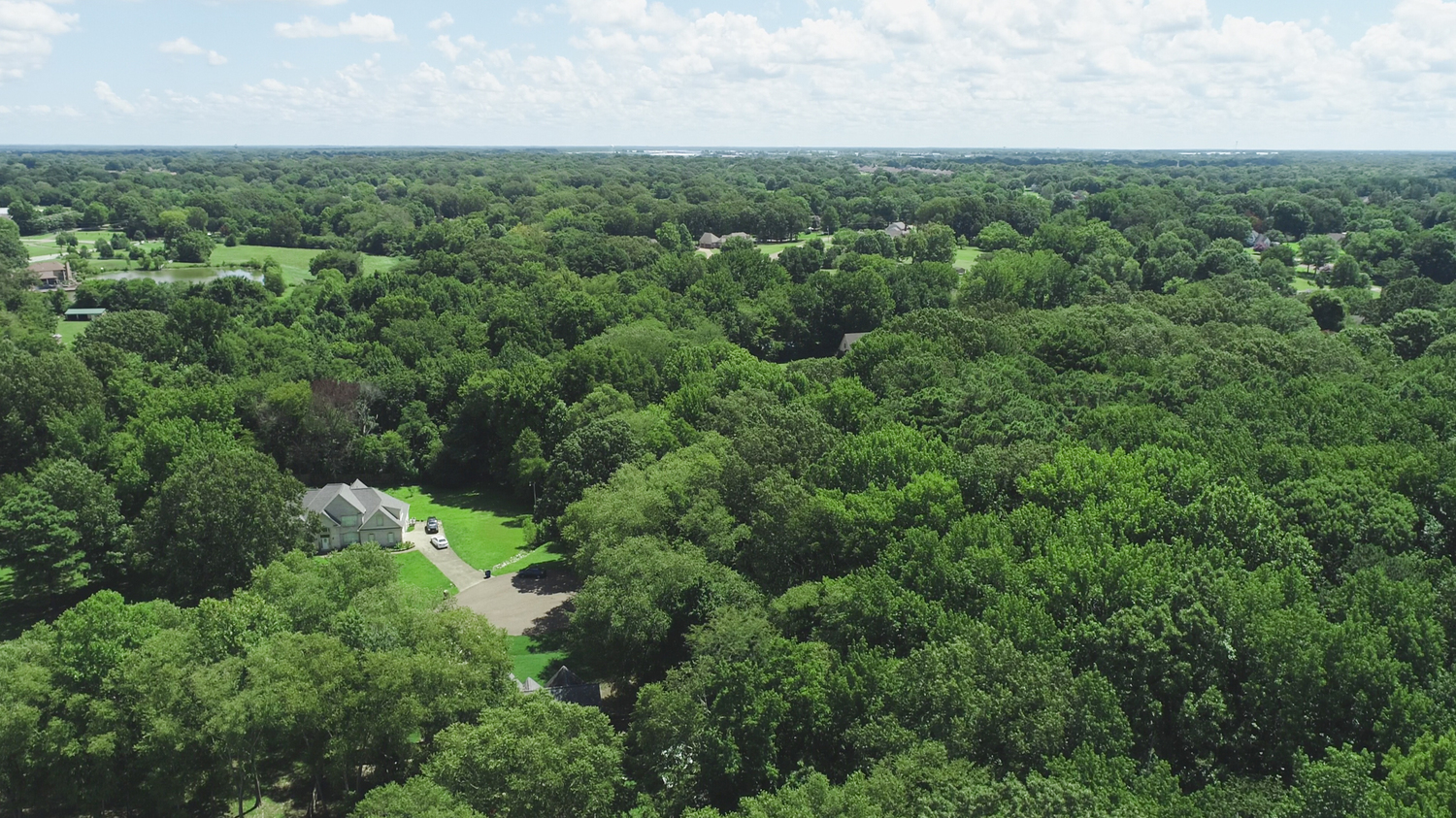 Land for Sale Between Youngblood Road and Hunters Creek Lane Olive
