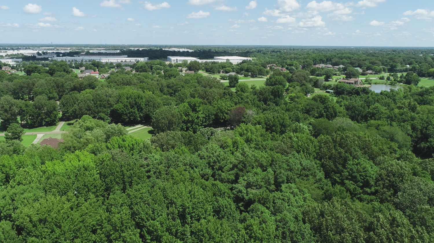 Land for Sale Between Youngblood Road and Hunters Creek Lane Olive