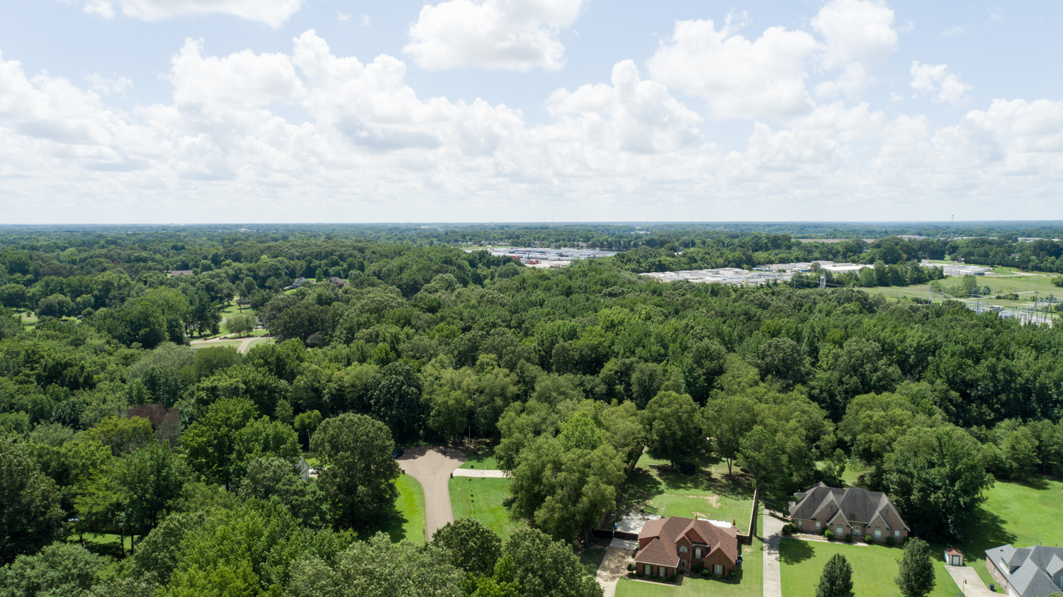 Land for Sale Between Youngblood Road and Hunters Creek Lane Olive