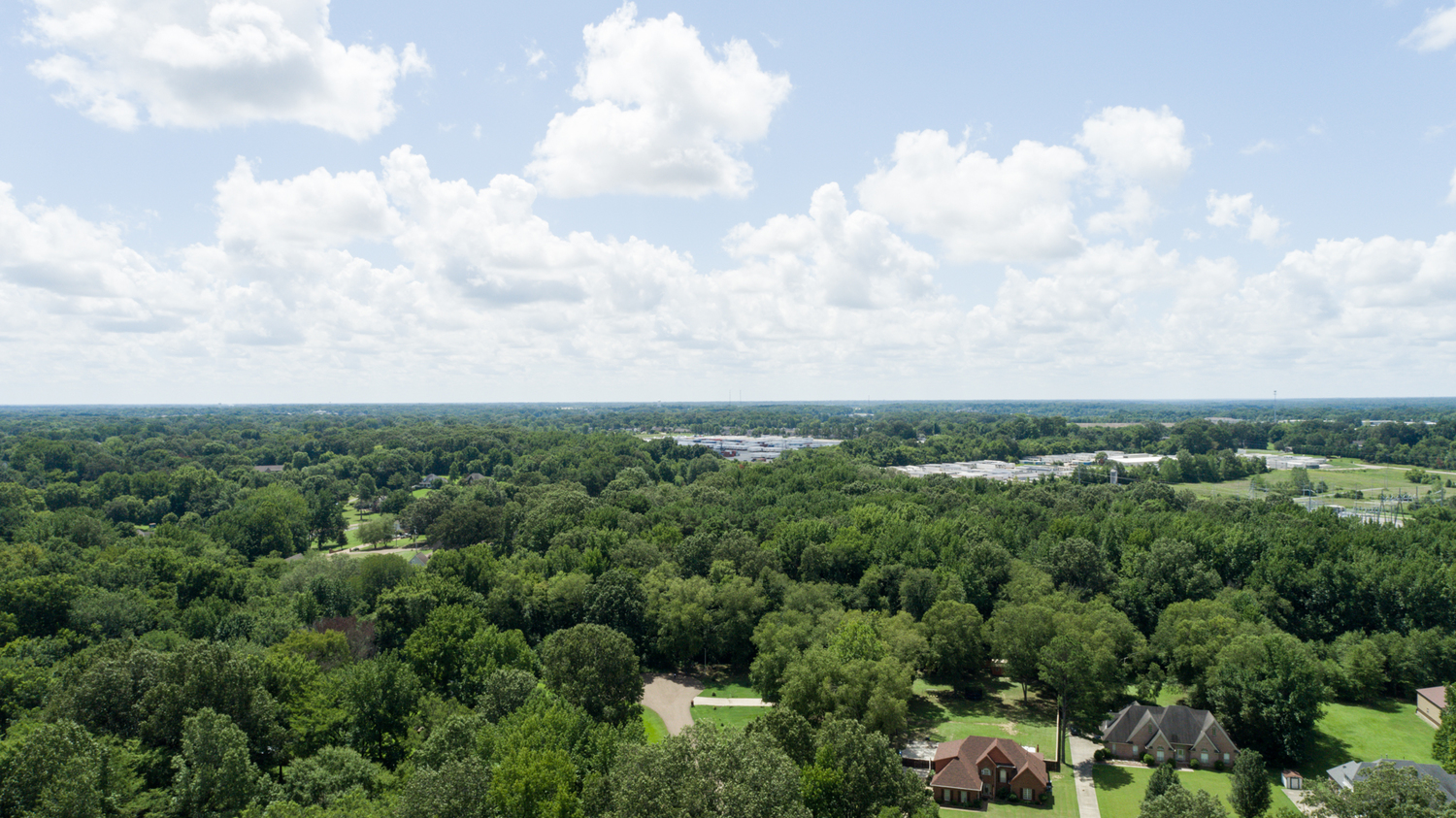 Land for Sale Between Youngblood Road and Hunters Creek Lane Olive