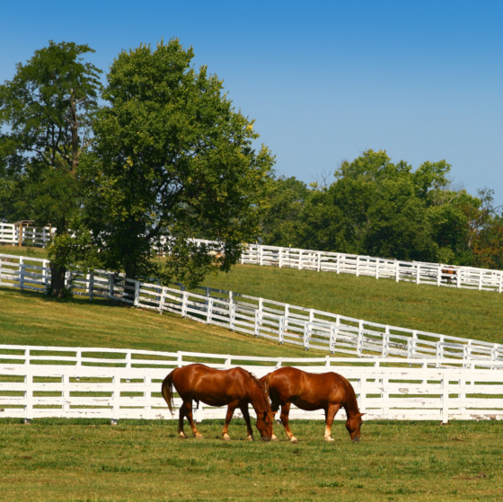 Northern Kentucky & Cincinnati Ohio Real Estate Homes for Sale in NKY