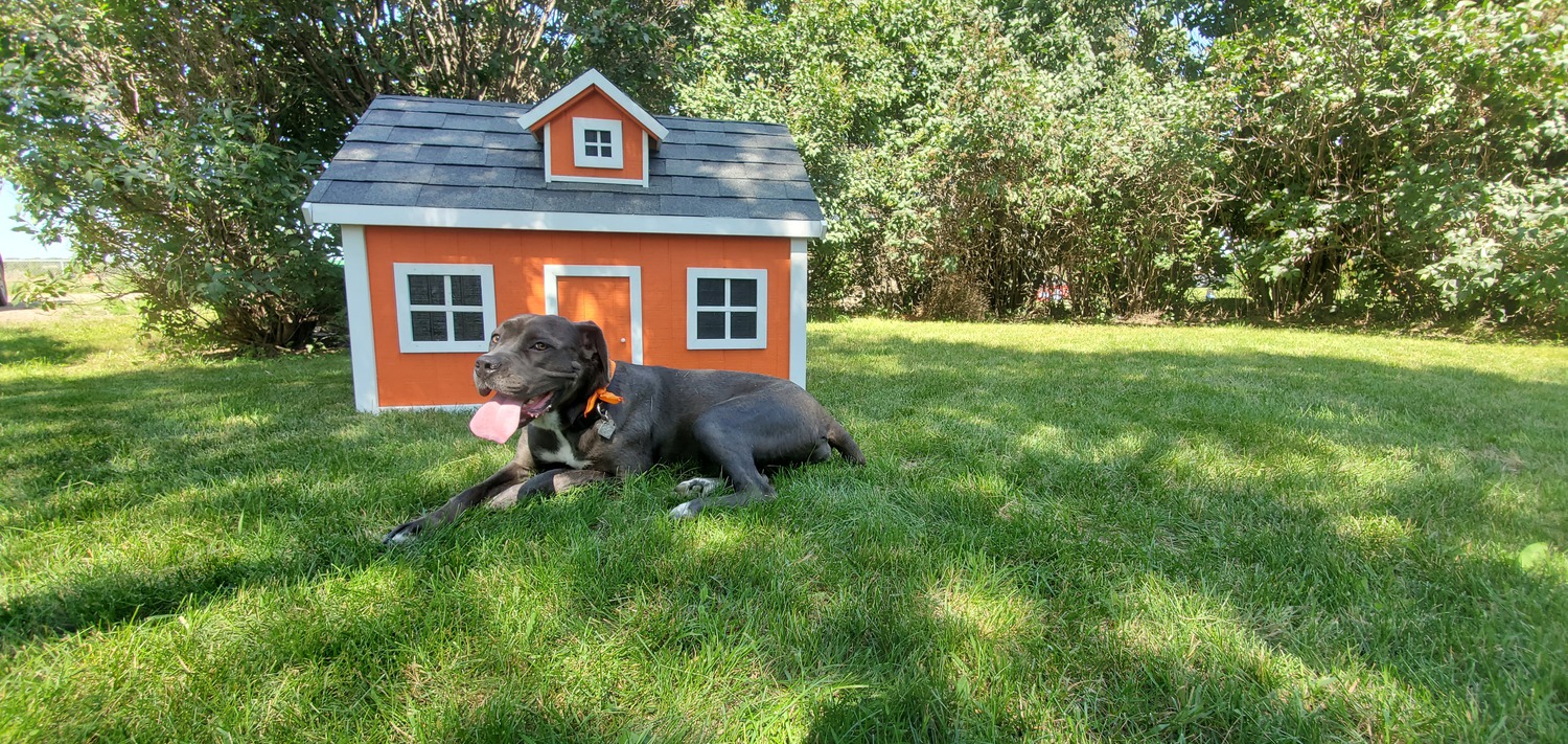 Find your Minot ND Home Value Free Analysis by local licensed professionals Hometown Realty.