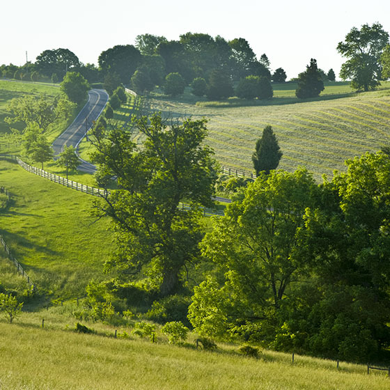 York County PA Real Estate Homes for Sale in York County PA