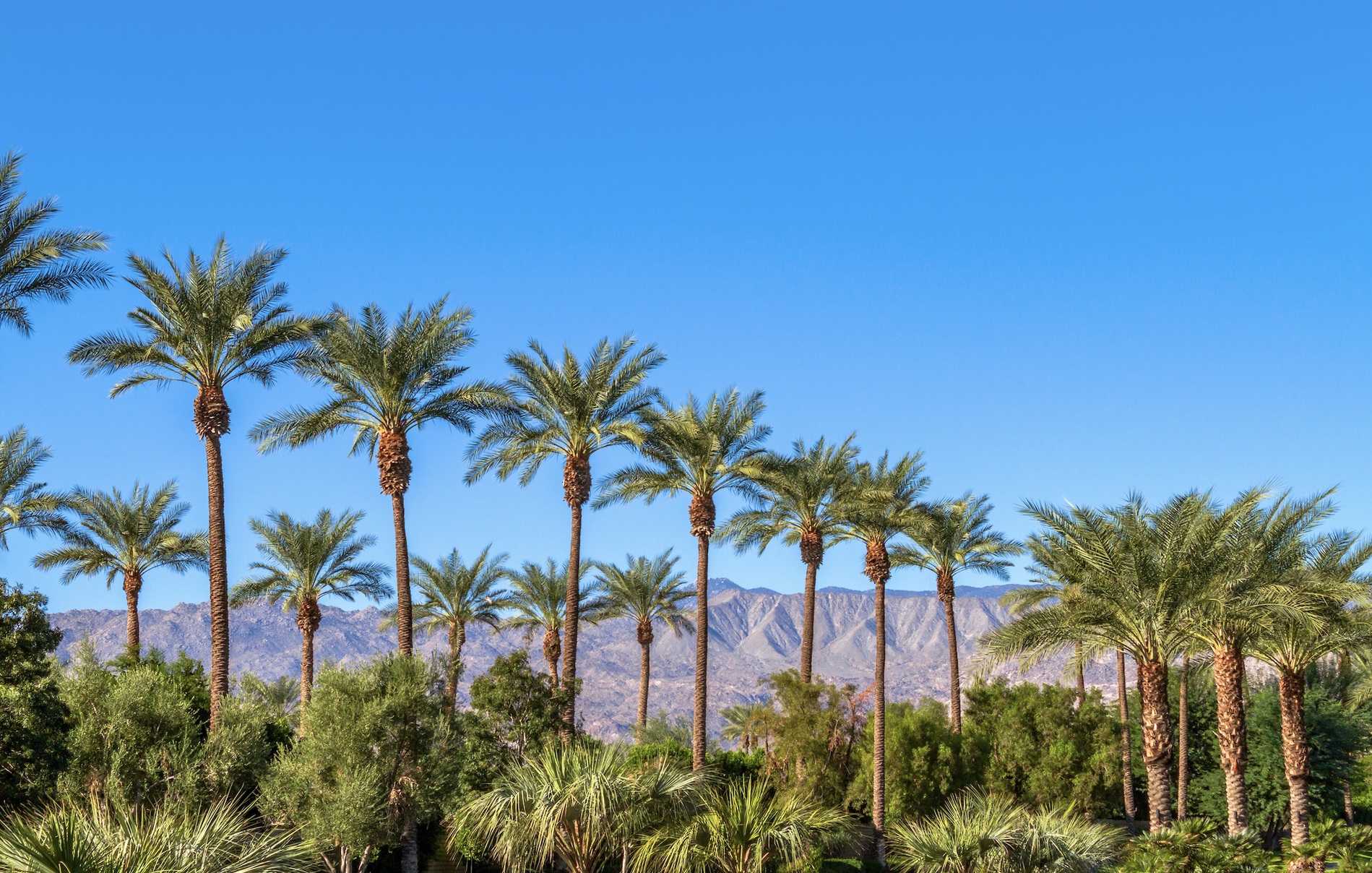 Palm Desert CA Real Estate Homes for Sale in Palm Desert CA