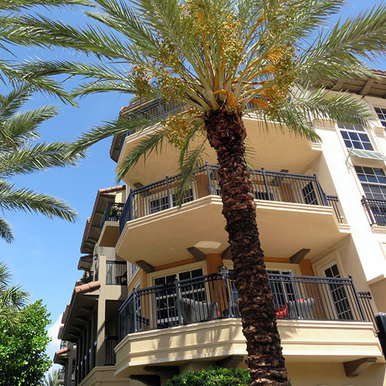 Pinellas County FL Real Estate Condos & Homes for Sale in Pinellas