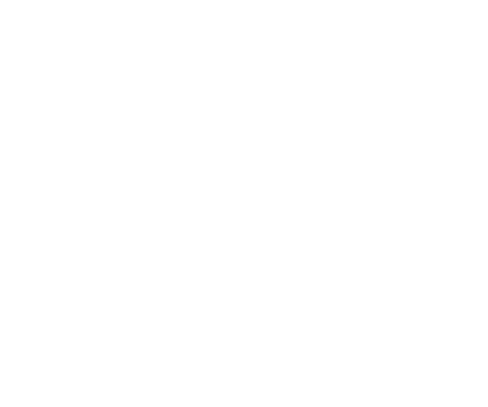 The Maggee Miggins Group