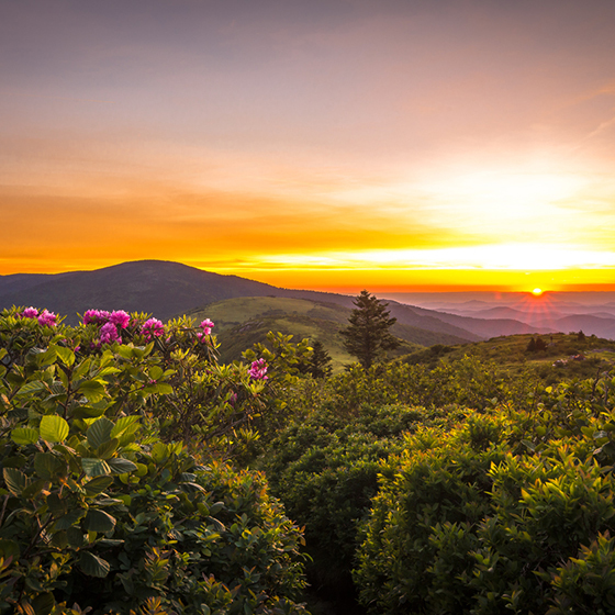 Central West TN Real Estate Homes for Sale in Central West TN