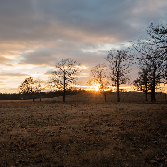 Southern Oklahoma Real Estate Homes for Sale in Southern Oklahoma