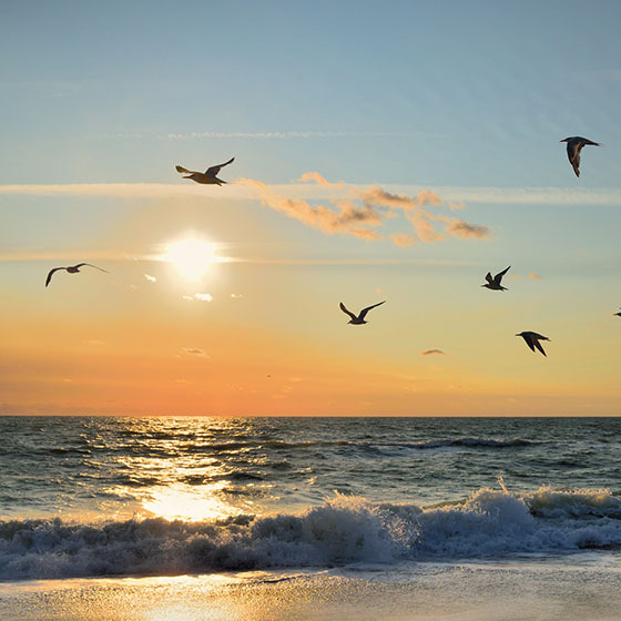 Coastal Delmarva Real Estate Homes for Sale on Coastal Delmarva