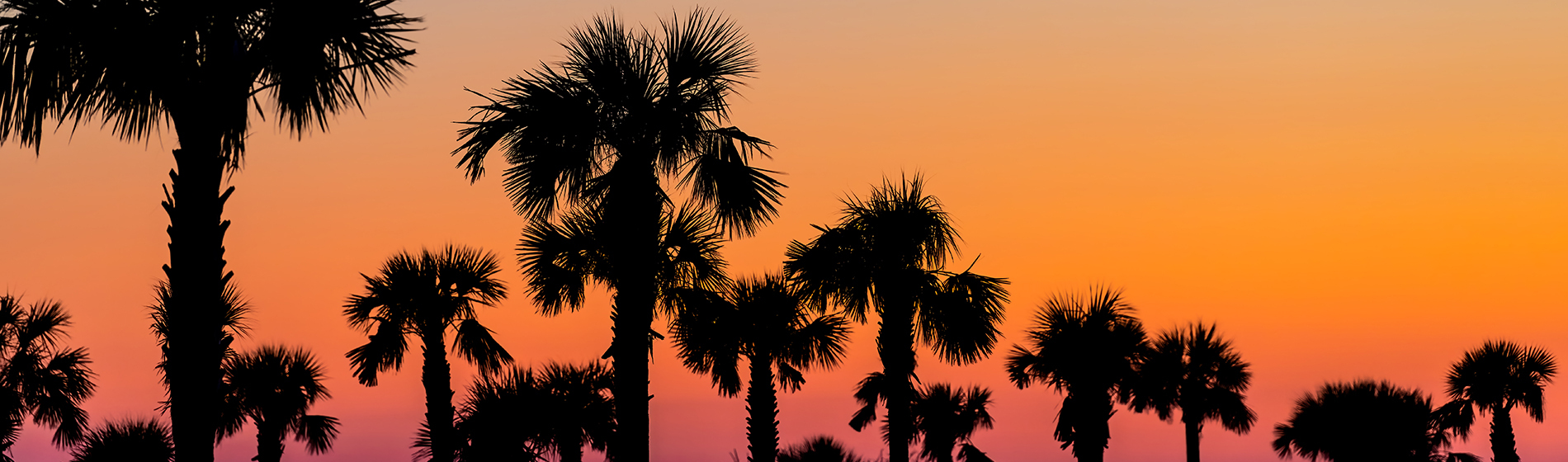 Palm Beach County Real Estate Homes for Sale in Palm Beach County