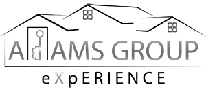 The Adams Group Experience