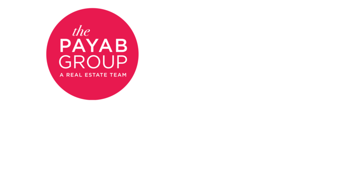 The Payab Group