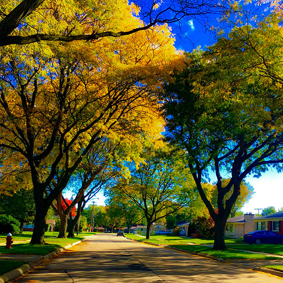 Metro Detroit Real Estate Homes for Sale in Metro Detroit