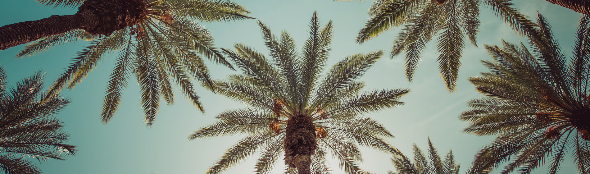 San Marino Real Estate Homes for Sale in San Marino