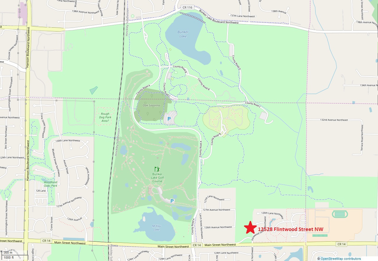 12528 Flintwood St Nw Coon Rapids, MN