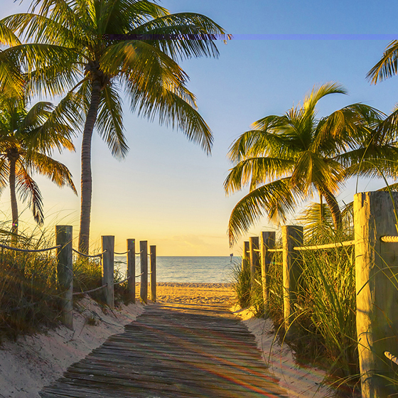 South Florida Real Estate Homes for Sale in South Florida