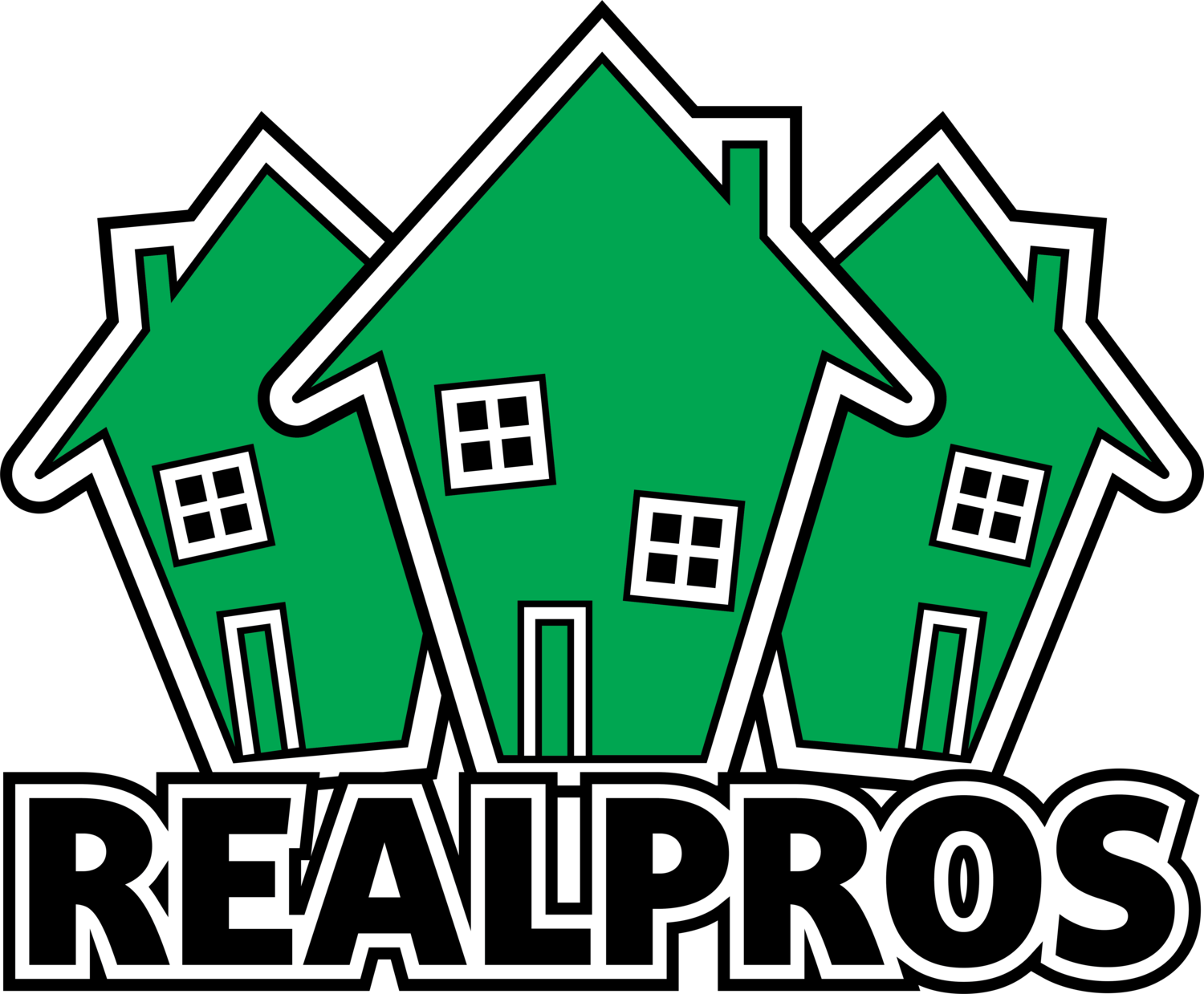 Carson & REALPROS Effective Home Marketing Sample