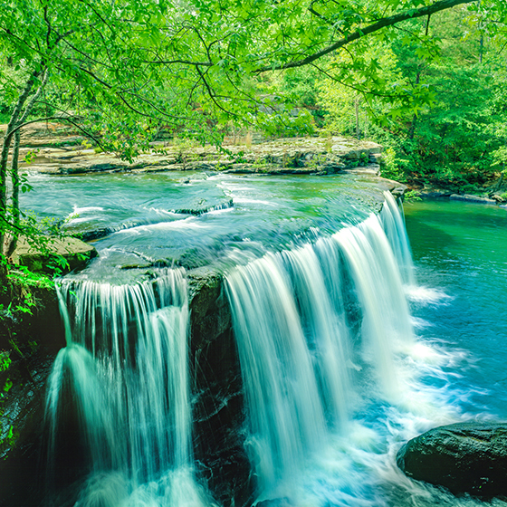 Central Alabama Real Estate Homes for Sale in Central Alabama