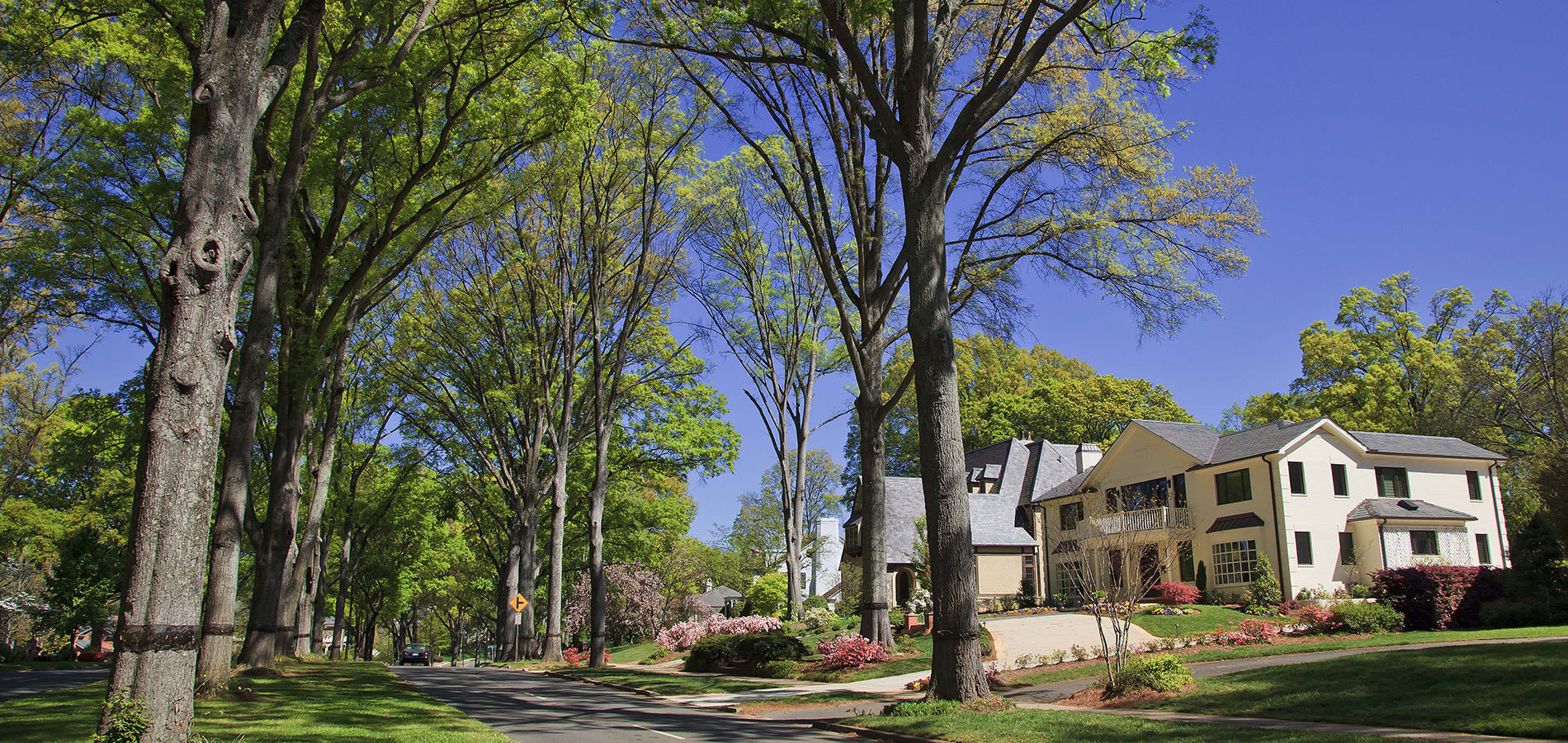 Georgetown Homes for Sale in Cary NC