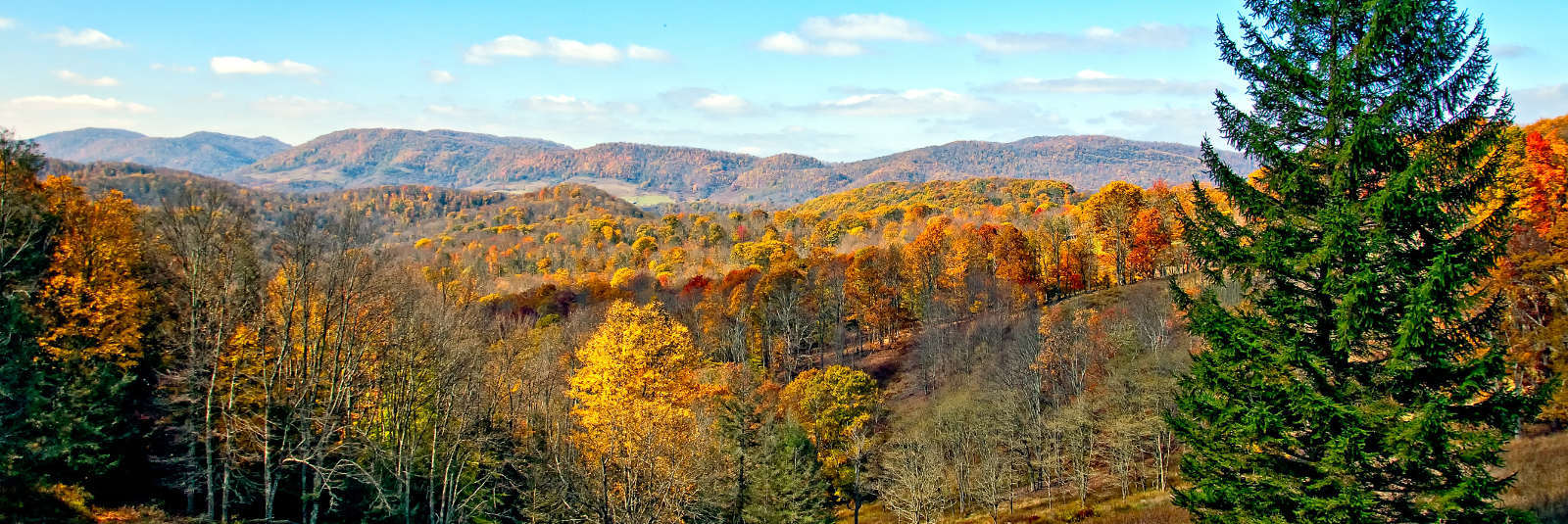 The Spear Realty Group Top Ashburn, VA Real Estate Agents Keller