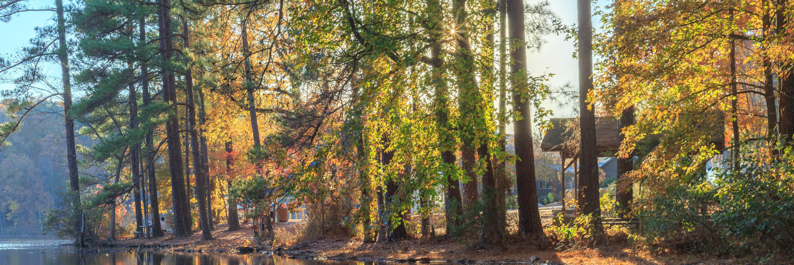 Johnston/Wake Counties NC Real Estate Homes for Sale in Johnston/Wake