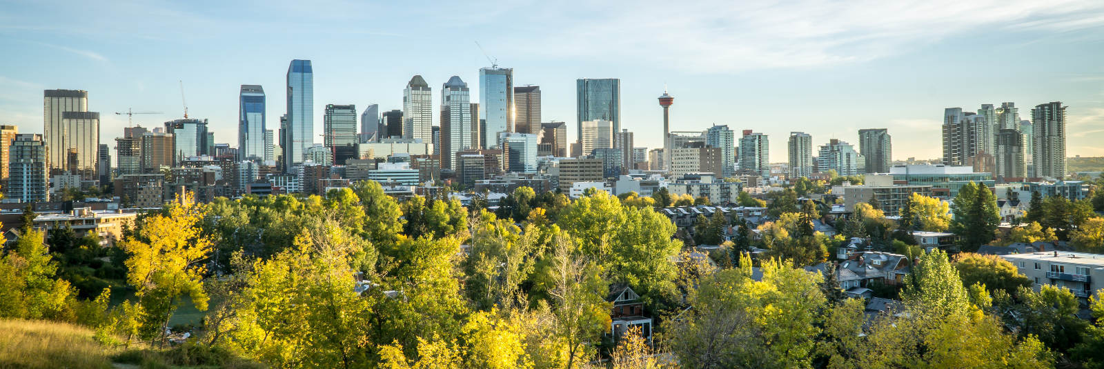 Calgary AB Real Estate Homes for Sale in Calgary AB